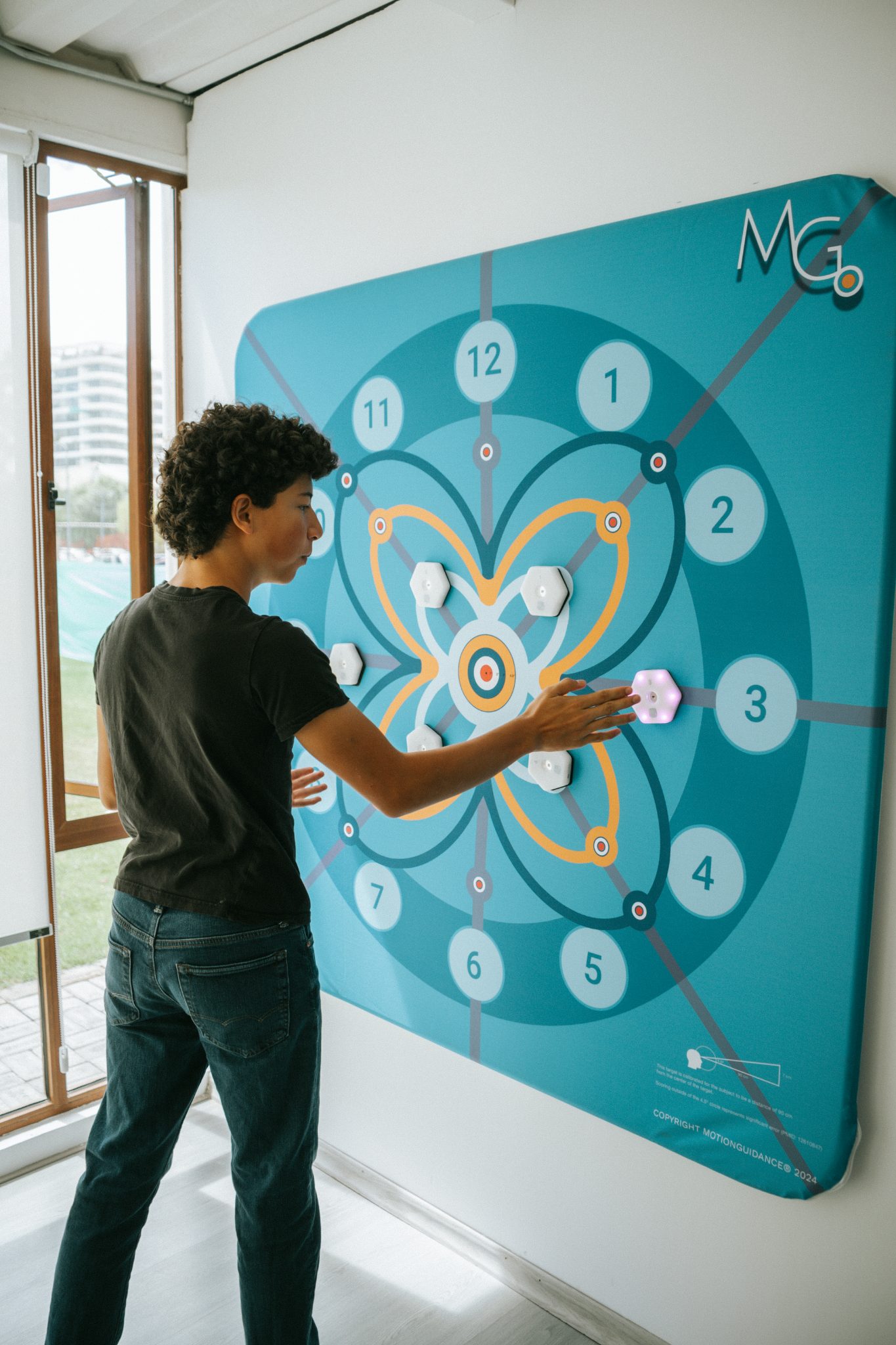 Motion Guidance
